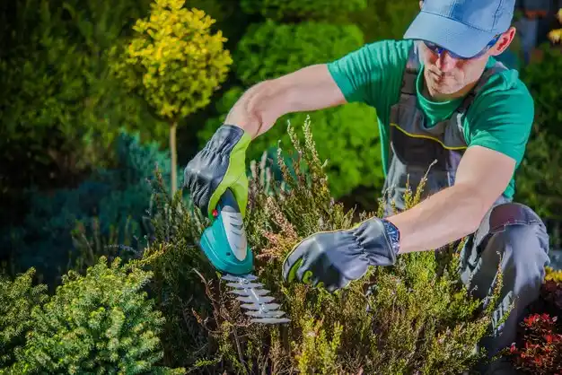 landscaping services Presque Isle